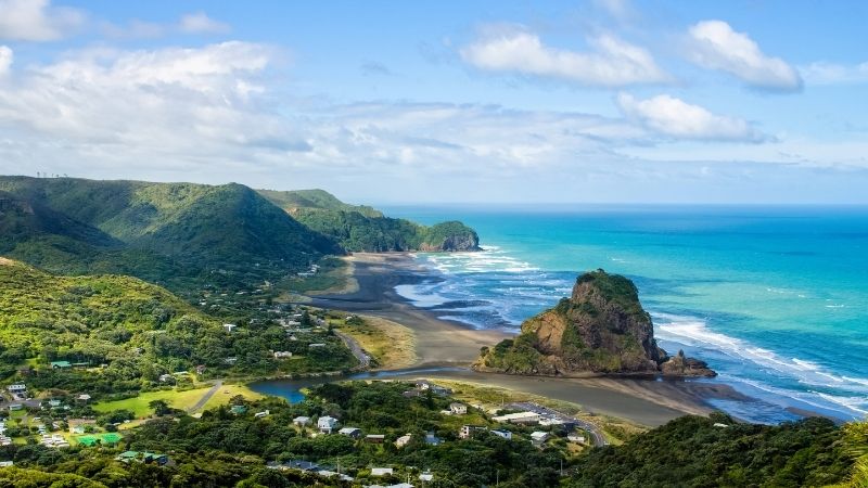 Marine Life in Kaikōura